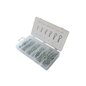 BLISTER COPPIGLIE ELASTICHE *R* PZ.150 ASSORTIMENTO LIONS 690E