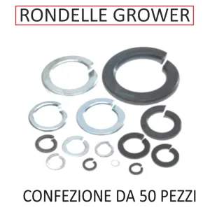 RONDELLEA GROWER ZINCATA