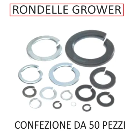 RONDELLEA GROWER ZINCATA