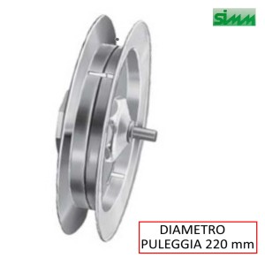 PULEGGIA DIAMETRO 220 MM CON CALOTTA PER RULLO FERRO