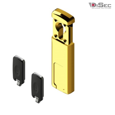 DEFENDER MAGNETICO PER CILINDRO EUROPEO OTTONE LUCIDO
