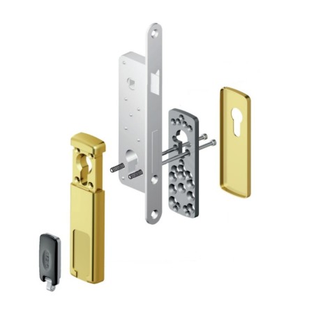 DEFENDER MAGNETICO PER CILINDRO EUROPEO OTTONE LUCIDO