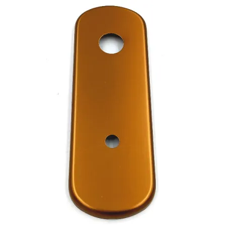 PLACCA GPB CON FORO D.10 X CILINDRO C-POMOLO INT.85 BRONZO