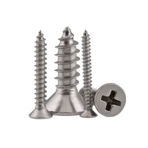 VITE AUTOFILETTANTE TSP IN ACCIAIO INOX A2 DIN981