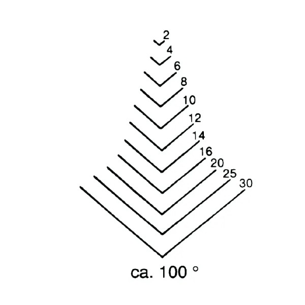 SGORBIA STUBAI 5547