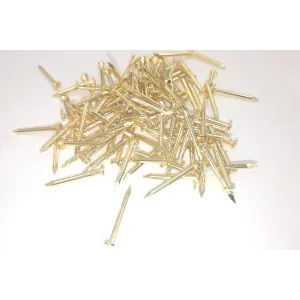 CHIODO TT FERRO OTTONATO  1X10 MG14191