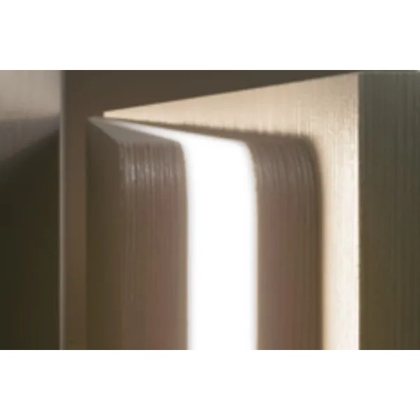 LED FLESSIBILE FRONTALMENTE DOMUS LINE FLEXYLED AT6 LUCE CALDA 2700K 24 VOLT