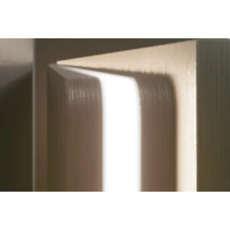 LED FLESSIBILE FRONTALMENTE DOMUS LINE FLEXYLED AT6 LUCE CALDA 2700K 24 VOLT