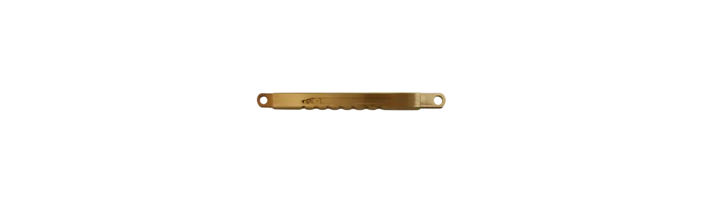 COMPASSI VASISTAS/SPORGERE